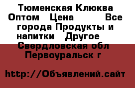 Тюменская Клюква Оптом › Цена ­ 200 - Все города Продукты и напитки » Другое   . Свердловская обл.,Первоуральск г.